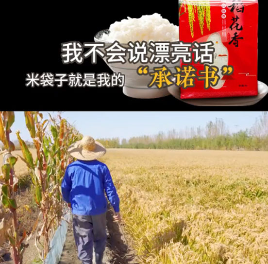 成誠(chéng)大米